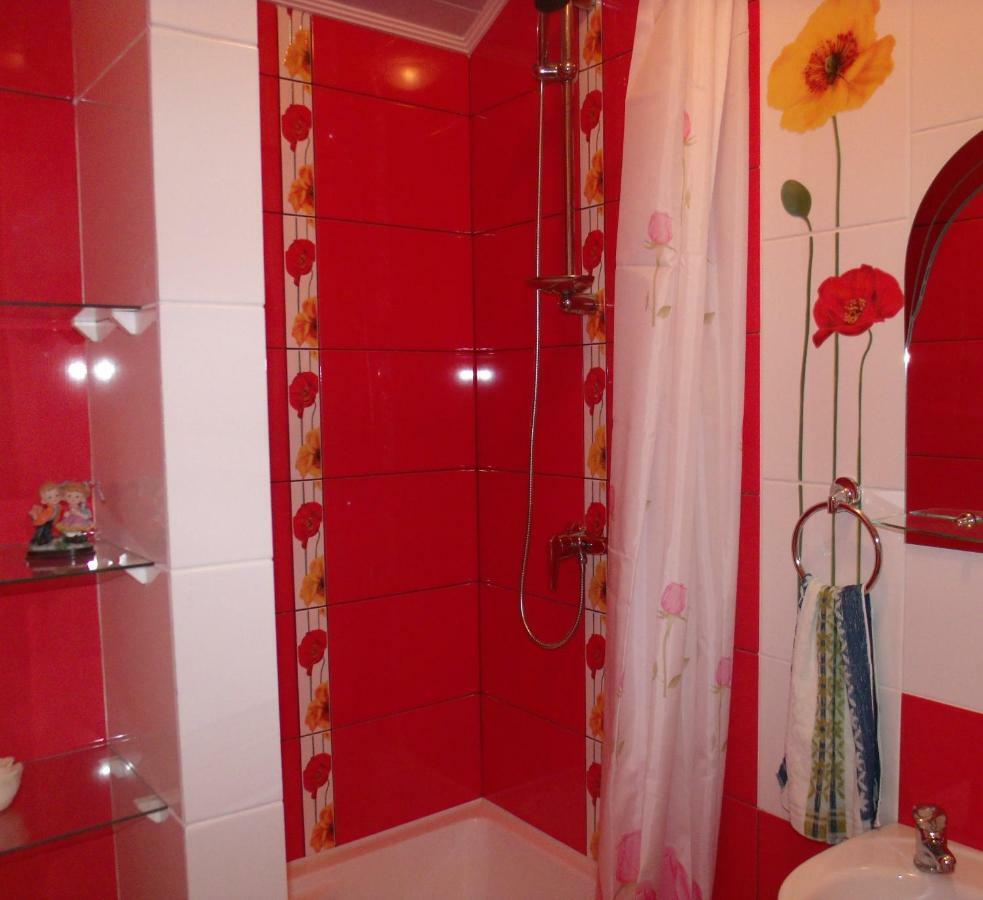 Apartment квартира-студия в стиле Truskavets
